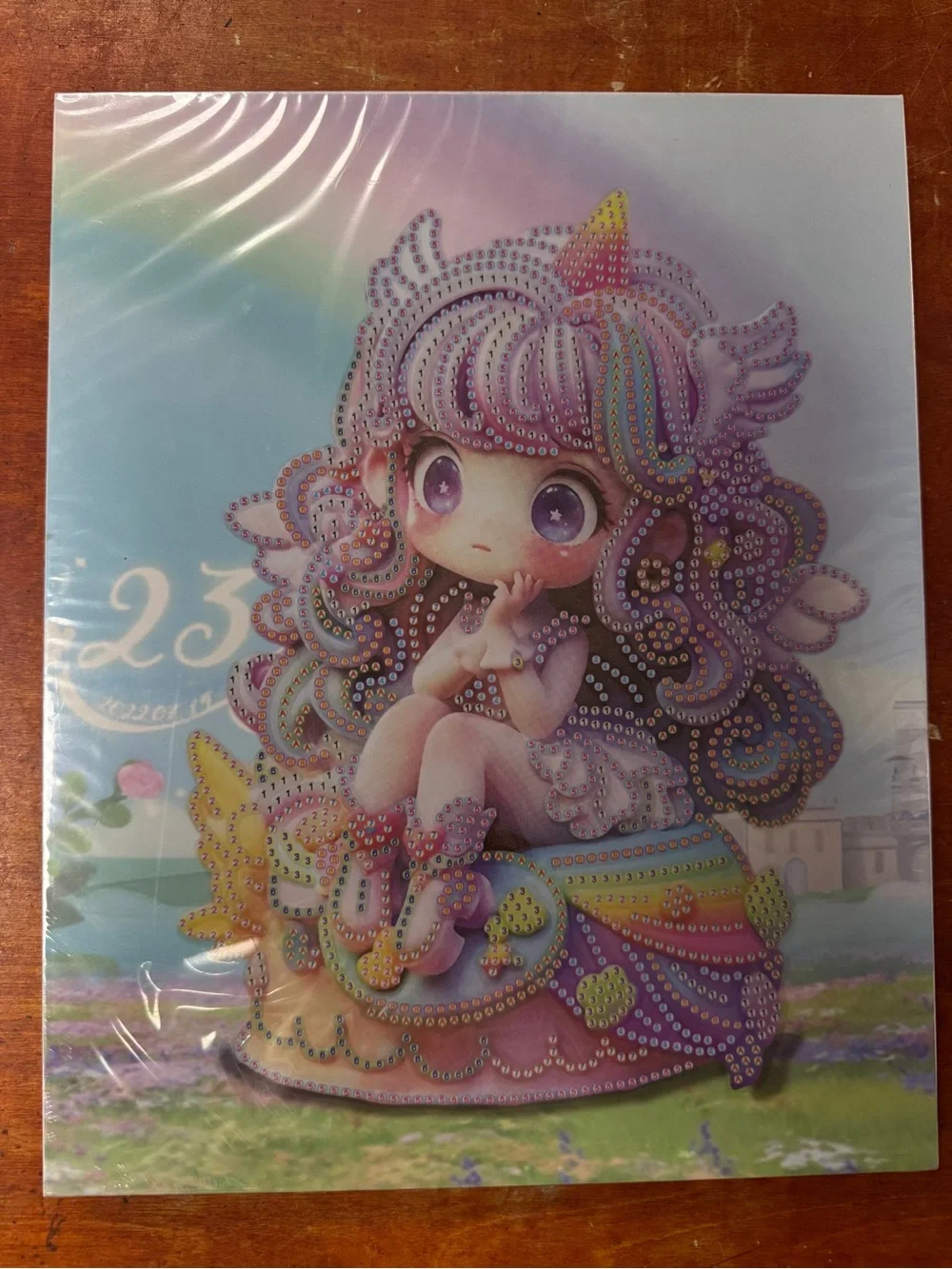 DIY Diamond Painting Kit Cute Princess Girl Canvas Art Craft New